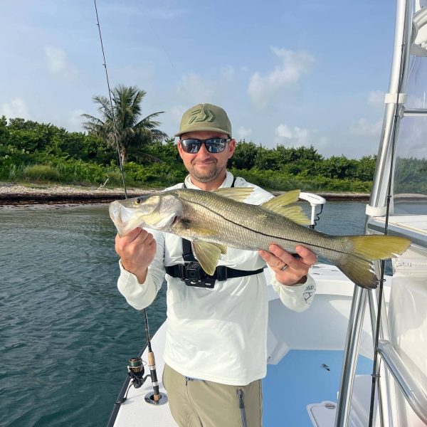 Snook Fishing In Suart